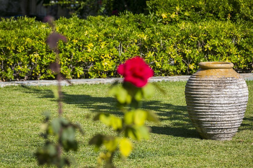 Olive Grove Studios&Apartments Svoronata Exterior foto